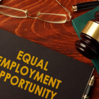 equal opportunity book equal opportunity book