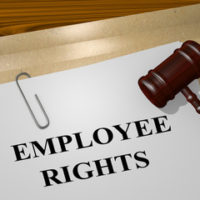 gavel with Employee rights gavel with Employee rights