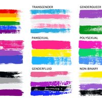 Grunge LGBT Pride Flag Collection Lesbian, Gay, Bisexual, Pansexual, Genderfluid, Genderqueer, Polysexual . Vector